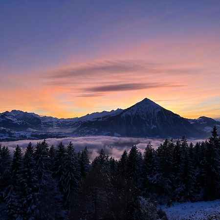 Chalet Friesli Beatenberg Dış mekan fotoğraf