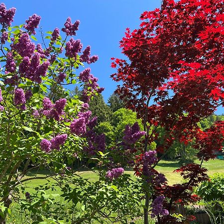 Chalet Friesli Beatenberg Dış mekan fotoğraf