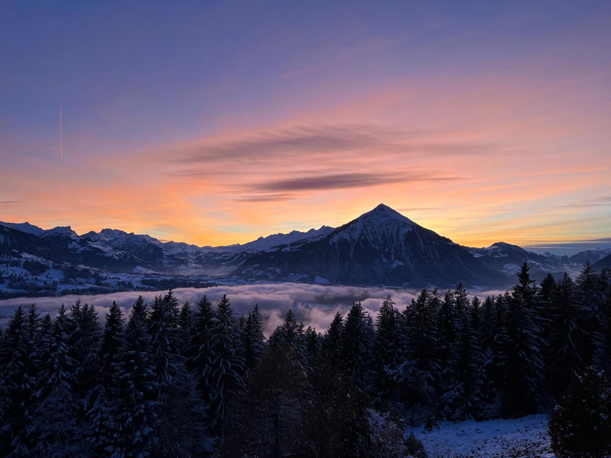 Chalet Friesli Beatenberg Dış mekan fotoğraf