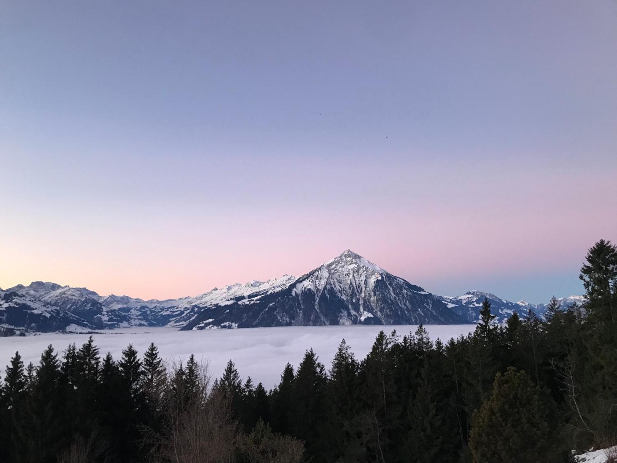 Chalet Friesli Beatenberg Dış mekan fotoğraf