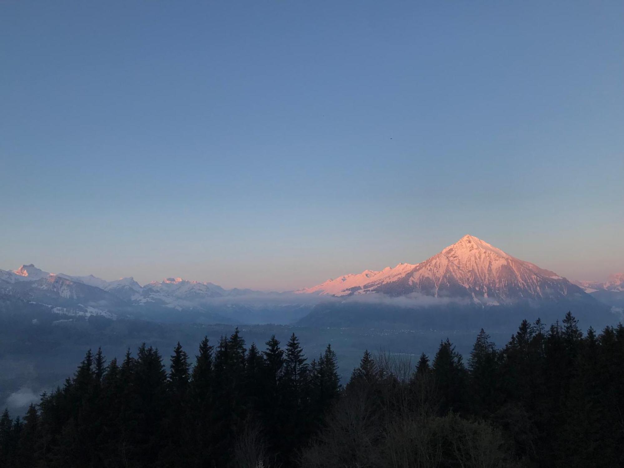Chalet Friesli Beatenberg Dış mekan fotoğraf